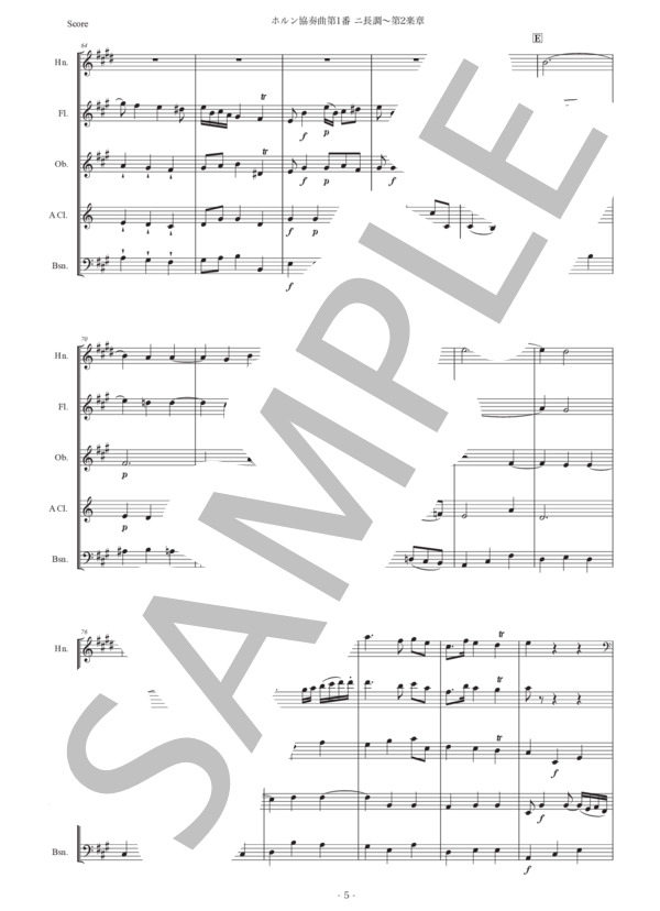 ハイドン「ホルン協奏曲第1番ニ長調〜第2楽章」木管五重奏版 (フランツ・ヨーゼフ・ハイドン) / アンサンブル木管 初〜中級 - サンプル譜面 5/5