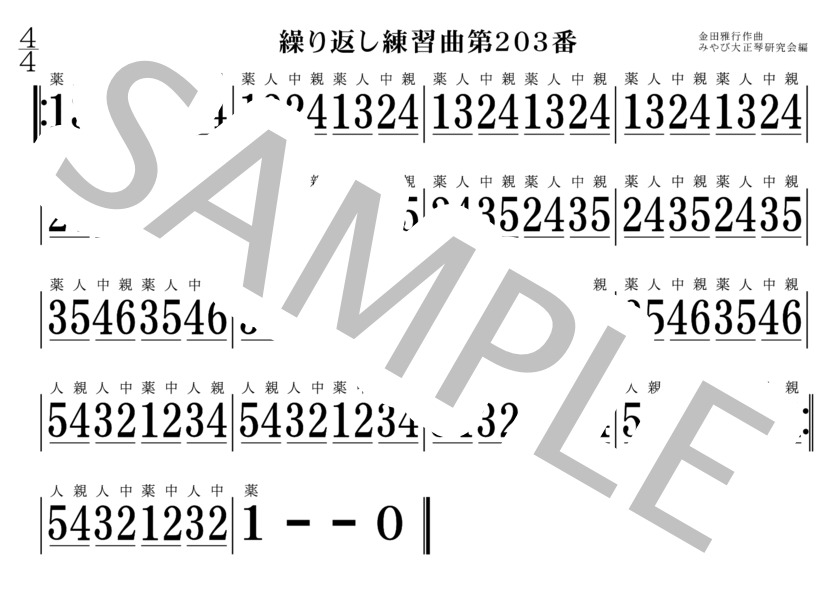 繰り返し練習曲201番～210番 大正琴 (金田 雅行) / 初〜中級 - サンプル譜面 3/5