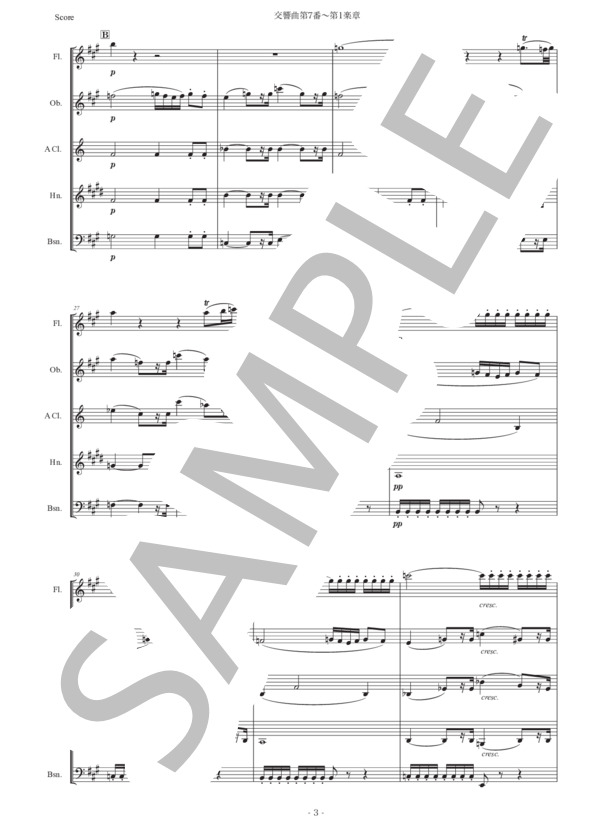 【人気商品】ベートーベン : ピアノ五重奏曲 (木管五重奏) ヘンレ出版 Amazon.co.jp: ベートーベン : ピアノ五重奏曲 (木管五重奏