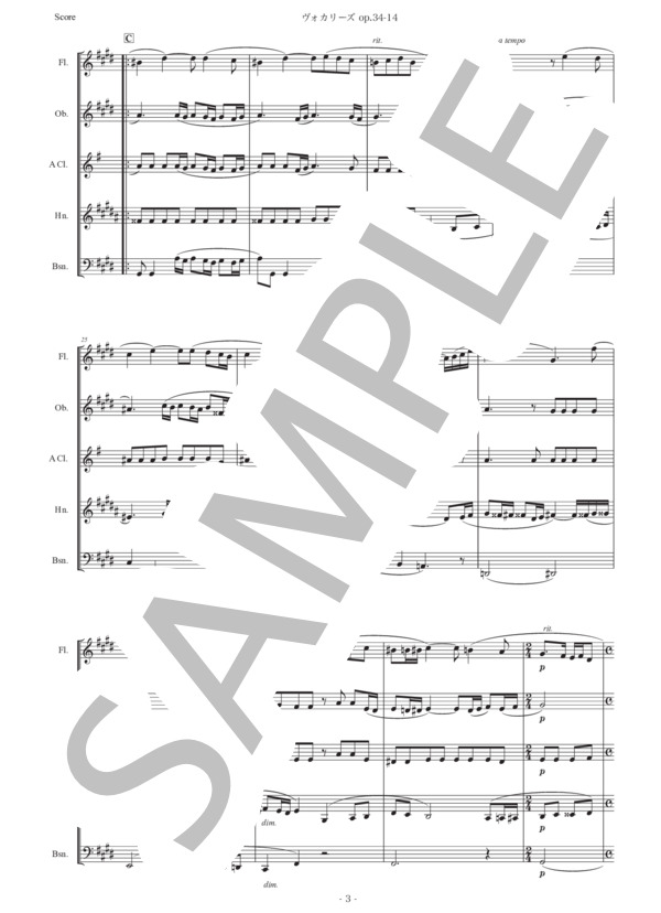 ラフマニノフ「ヴォカリーズ」木管五重奏版 (セルゲイ・ラフマニノフ) / アンサンブル木管 初〜中級 - サンプル譜面 3/5